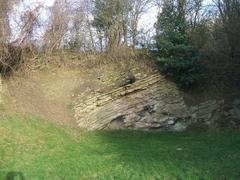 Exposed Limestone at Wren's Nest