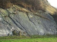 Silurian Limestone Slabs at Wren's Nest