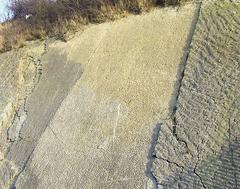 Silurian Rock Patterns in Dudley, Worcestershire with rippling patterns and shadow from fencing