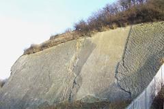 The Wren's Nest Ripple Beds in Dudley