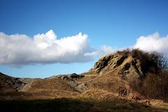 Limestone outcrop at Wren's Nest Nature Reserve