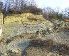 Limestone Exposure at Wren's Nest Geological Nature Reserve