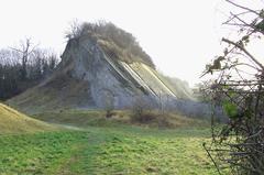 Limestone outcrop at Wren's Nest Geological Nature Reserve in Dudley, Worcestershire