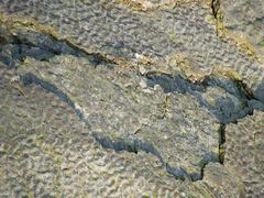 Limestone Ripples detail in Dudley, Worcestershire