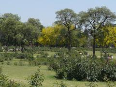 Rose Garden in full bloom with vibrant red and pink roses