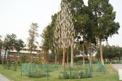 Chandelier Tree in Zakir Hussain Rose Garden