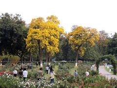 Rose Garden in Chandigarh, India