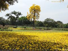 Rose Garden, Chandigarh, India