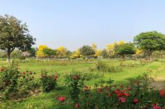 Zakir Hussain Rose Garden in Chandigarh during spring