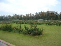 Rose Garden in Chandigarh, India