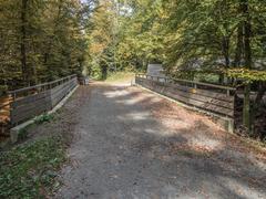 Fieldroad Bridge over Talent River in Lausanne