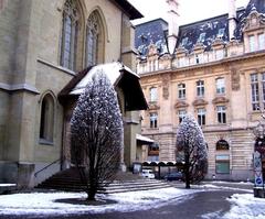 snow-covered park during winter with trees and benches