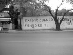 Accion Poetica street art