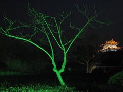 Peach tree under city wall