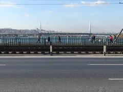 Skyline of Istanbul including the Bosphorus Bridge on December 5, 2013