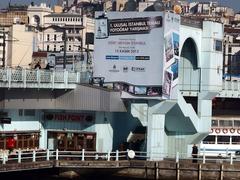 2013 Istanbul panoramic view with iconic landmarks