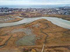 Aerial view of Belle Isle Marsh and Short Creek in March 2023