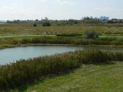 Belle Isle Marsh with Boston skyline in the distance