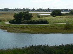 Belle Isle Marsh in Boston