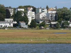 Egrets in Belle Isle Marsh