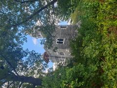 Belvedere Castle surrounded by greenery