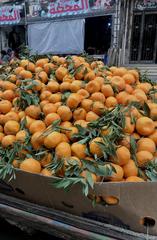 wooden cart full of mandarin oranges with green leaves in Boulaq, Giza