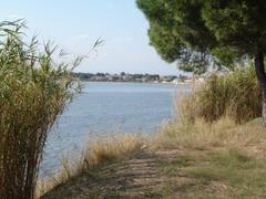 View of Étang de l'Or towards Palavas-les-Flots