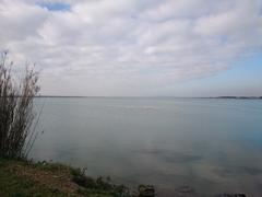 Etang de Palavas lagoon with clear blue sky and surrounding greenery