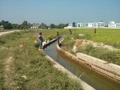 Biratnagar canal