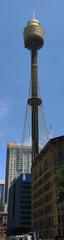 Sydney Tower in daytime