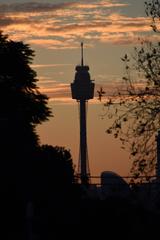 Centre Point Tower at sunset from Oxford St, Bondi Junction, Sydney