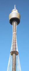 Sydney Tower or Centrepoint Tower in Sydney CBD