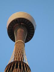 Sydney Tower soaring into the sky