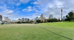 City views from The Domain, Sydney