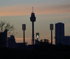 Sydney at dusk from Centennial Park