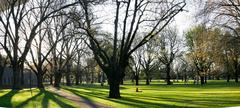 Panoramic view of Carlton Gardens