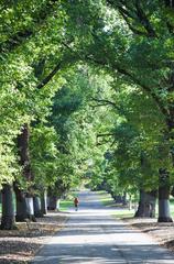 Peaceful autumn afternoon in Carlton Garden, Melbourne