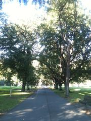 walkway at the rear of Carlton Gardens