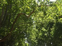 Carlton Gardens Melbourne