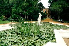 A pond with water plants at Buenos Aires Botanical Garden