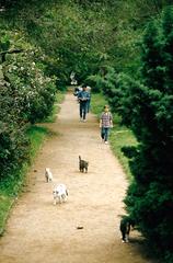 a scenic path with cats and people in Buenos Aires Botanical Garden