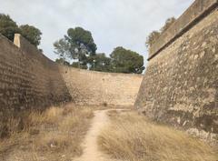 Moat of Castillo de San Fernando, Alicante