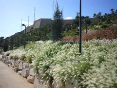 Castle of San Fernando in Alicante, Spain