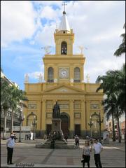 Catedral Metropolitana de Campinas in panoramic view