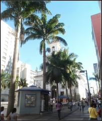 Catedral Metropolitana de Campinas