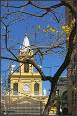 Catedral Metropolitana de Campinas exterior