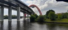 Zhivopisny Bridge 2022