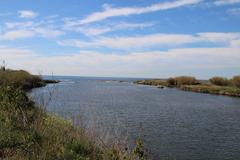 Special Area of Conservation in Almazora, Spain