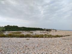 Goles del Millars, Special Area of Conservation in Spain