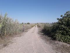 Signposted path at the mouth of the Mijares River in Castellón